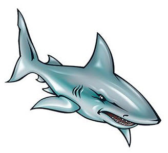 Requin Illustré Tattoo