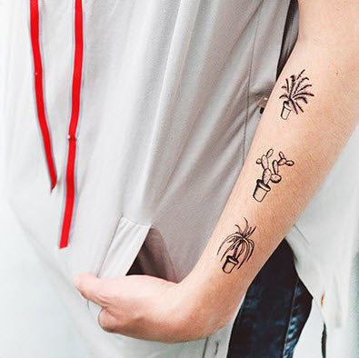 indoor plant tattoos Indoor Plants