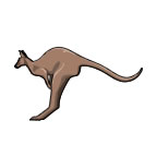 Small Kangaroo Tattoo