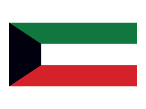 Kuwait Flagge Tattoo