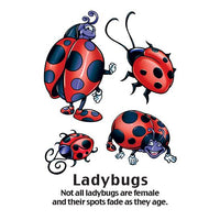 Ladybug Tattoos