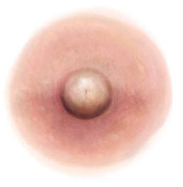 Light Pink Nipple Temporary Tattoo (L)