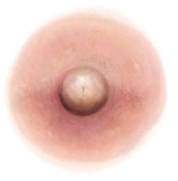 Light Pink Nipple Temporary Tattoo (S)