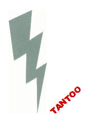 Lightning Bolt Tantoos (20 Sun Tan Stickers)