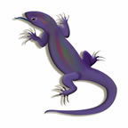 Lizard Tattoo