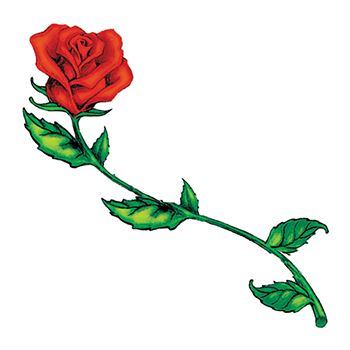Langstielige Rose Tattoo