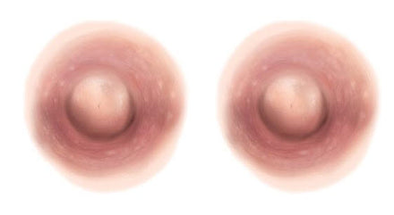 Medium Pink Nipple Temporary Tattoos (M)
