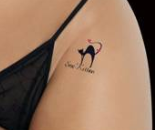 Striptease Tattoos Package (over 50 tattoos)