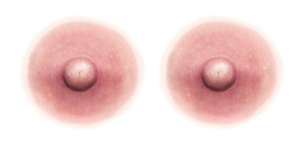 Pink Nipple Temporary Tattoos (L)