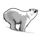 Tatuaggio Di Orso Polare
