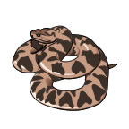 Serpent à Sonnette Petit Tattoo