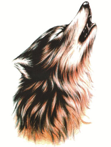 Realistische Huilende Wolf Tattoo