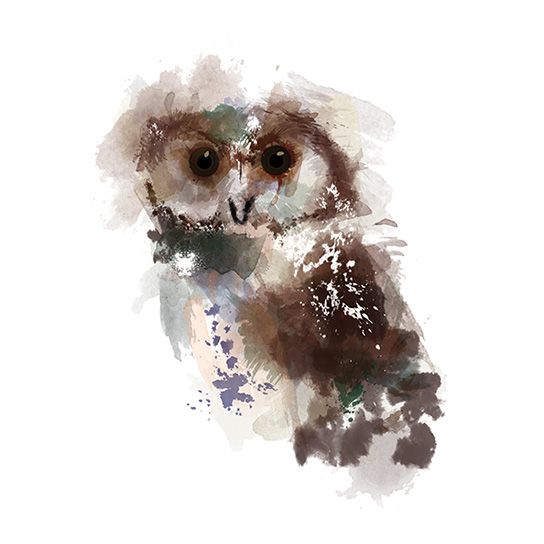 Watercolor Owl Tattoo