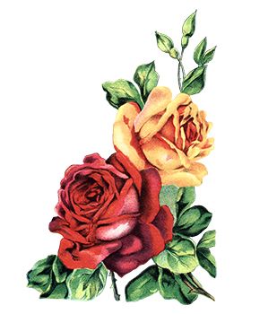 Roses En Fleurs Tatouage