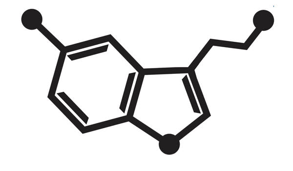 Serotonin Tattoo – Tattoo for a week