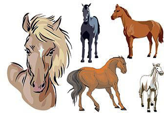 chevaux Tatouages (5 Tattoos)