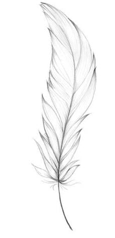 Simple Feather Tattoo