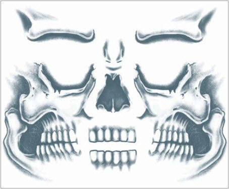 Kit De Tatuaje Facial De Cráneo