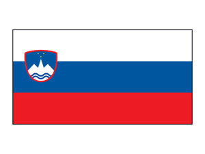 Tatuagem Bandeira da Eslovénia