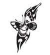 Small Tribal Butterfly Tattoo
