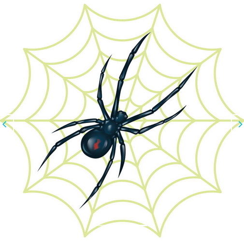 Spider with Reveal Glow-in-the-Dark Web Temporary Tattoo