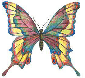 Papillon Vitrail Tattoo