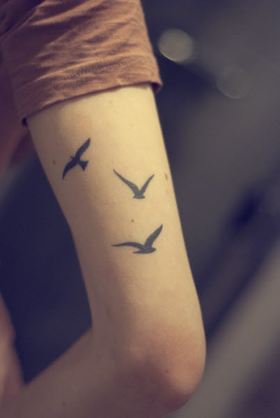 Strepik Tatuaggio Birdz