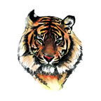 Striped Tiger Head Tattoo