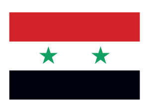 Syria Flag Tattoo