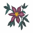 Tatuaje De La Flor Púrpura