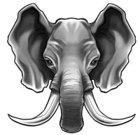 Tatuagem Elefante Presas Fortes