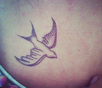 Traditional Swallow - Sienna Miller Tattoo