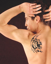 Tatuagens Pantera Tigre Cobra & Aranha
