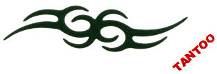 Tantoos Tribal (4 Tatouages Solaires)