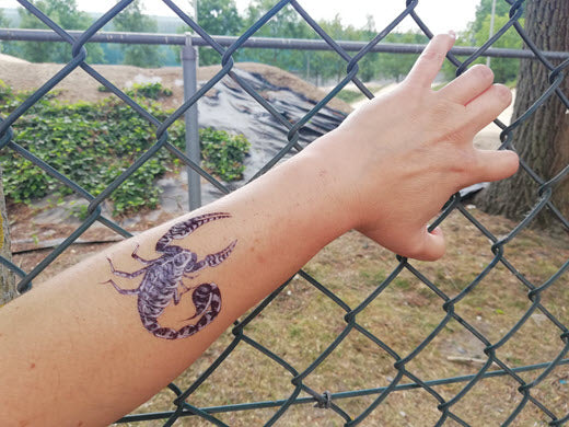 Tribal Tiger Skorpion Tattoo