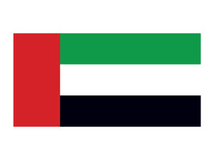 Verenigde Arabische Emiraten Vlag Tattoo