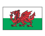 Wales Flagge Tattoo