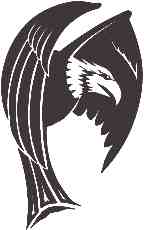White Head Eagle Large Tattoo