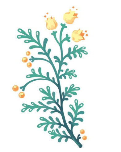 Tatuagem Flores Amarelas Floral